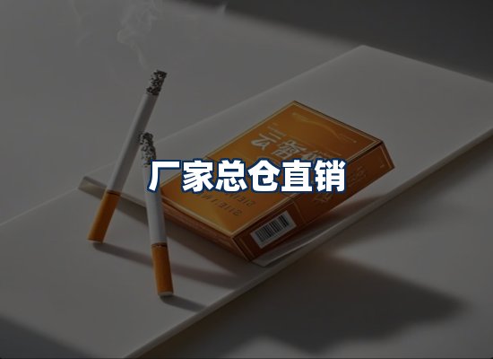 专业团队办公环境